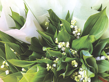 3/17【体験】スズランの香水をつくるー香水1日入門