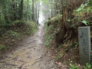 『万葉集』に親しむ　～巻第四～