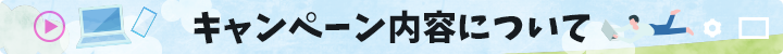 キャンペーン内容について