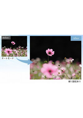 3か月でオート卒業！デジタルカメラきほんの「き」