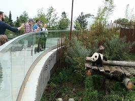 もっと知りたい！パンダの世界