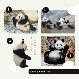 パンダ沼へようこそ！「水曜日のお嬢様」誕生秘話からパンダイラスト講座まで