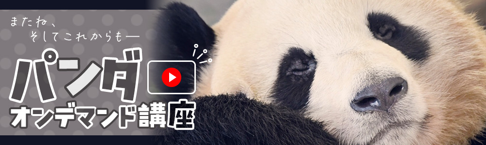 またね、そしてこれからも― パンダオンデマンド講座
