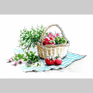 お庭で時短スケッチ