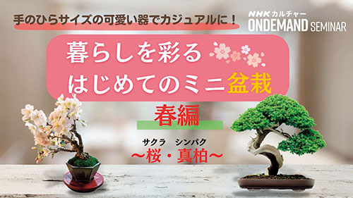 暮らしを彩る
