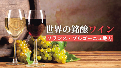 世界の銘醸ワイン フランス・ブルゴーニュ地方