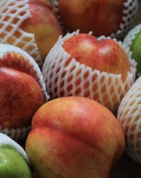 ネクタリンのコンフィチュール