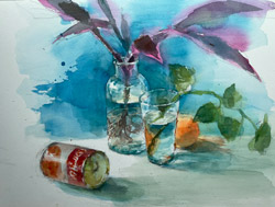 ガラスと観葉植物