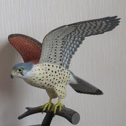 Nhk文化センター札幌教室 バードカービング 木でつくる鳥と動物のアートな世界 土 好奇心の その先へ Nhkカルチャー