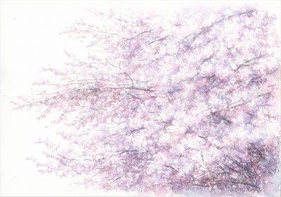 野村重存 プレバト‼︎ 水彩画 薔薇園幻想 直筆サイン入り