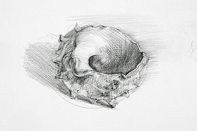 Nhk文化センター青山教室 基礎からはじめる 鉛筆デッサン 好奇心の その先へ Nhkカルチャー