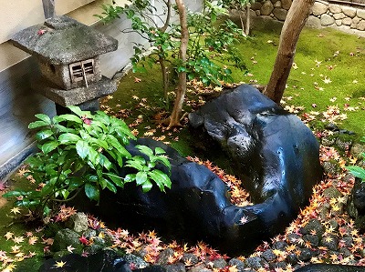 大人の京都学　京の社寺をゆく　歴史秘話と界隈散歩