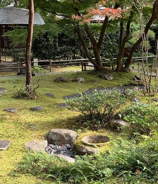 ���q�̖���