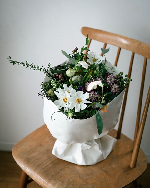 nonihana ��炵�̉ԋ���