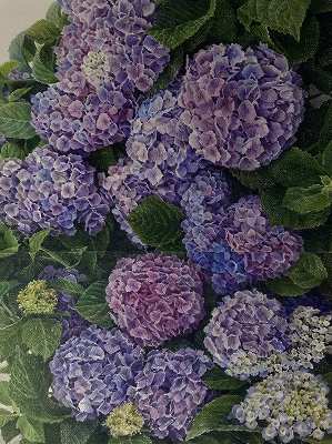 ��b����w�ԐF���M��