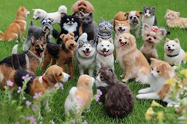 中山みどりのフェルトアート 愛犬・愛猫作り