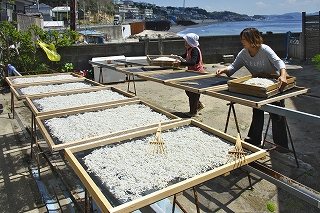 ���X�X�E��O���@���j�����