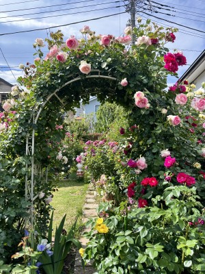 �I�[�v���K�[�f���ɍs���܂��傤