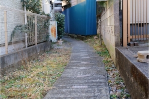 暗渠さんぽ 失われた川を歩く