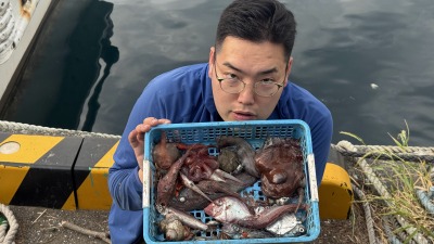 食べられるのに誰も食べない!? 身近な野食の世界