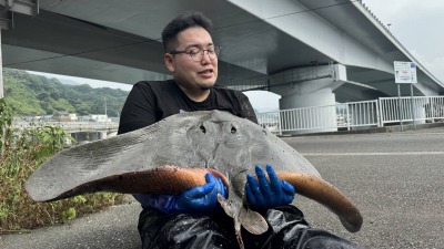 食べられるのに誰も食べない!? 身近な野食の世界