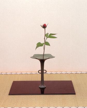 【1回トライアル】四季の茶花(水)10/7