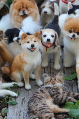 ���R�݂ǂ�̃t�F���g�A�[�g �����E���L���