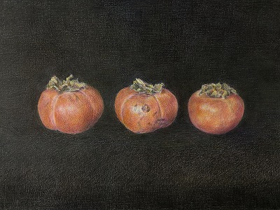 基礎から学ぶ色鉛筆画