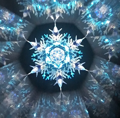 1/2�Q�V�R�΂ō��@��̌����̖��؋��Â���@