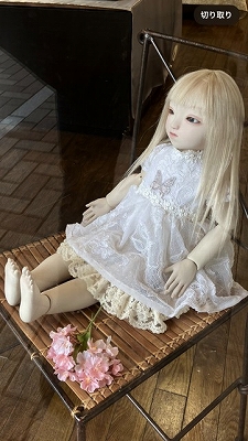 �킽���̃h�[���ցE��D���̏����Ȃ��m����