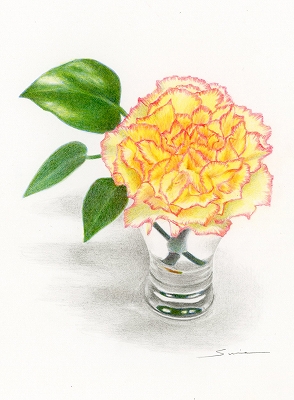 AFM惌bXuJ[l[V`viߑONXj