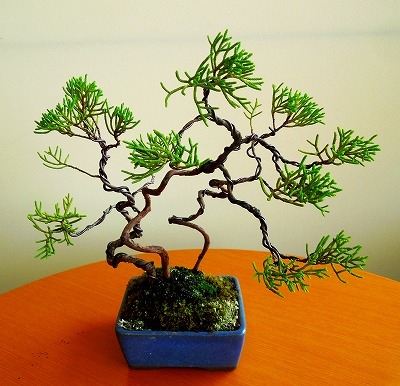 手直し盆栽 〜大切な盆栽をリノベーション〜