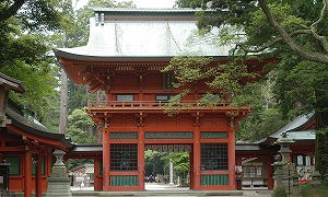 �m�ԂƗ�����\�@�w�����I�s�x���U�����i�ƐS