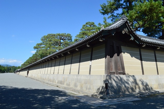 �w��������x�𖡂키�`�˚⊪�`