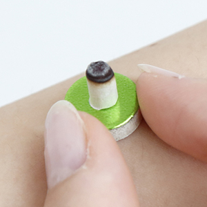 ���m��w�Ő�����@�����̂����߂ƃc�{�����b�X��