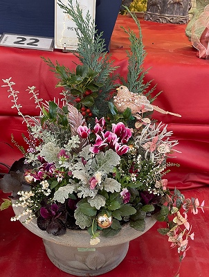 寄植えで楽しむ四季それぞれの植物 クリスマスを飾るコンテナ