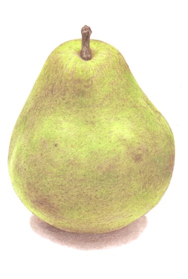 y1̌z₳FM`؁Eʕ`Ă݂`