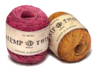 �y1���̌��z�͂��߂Ă̐F���M��`�ю����܂�`���`