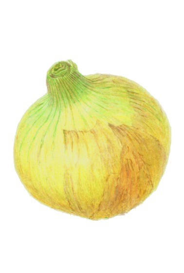 �y�P���̌��z�͂��߂Ă̐F���M��