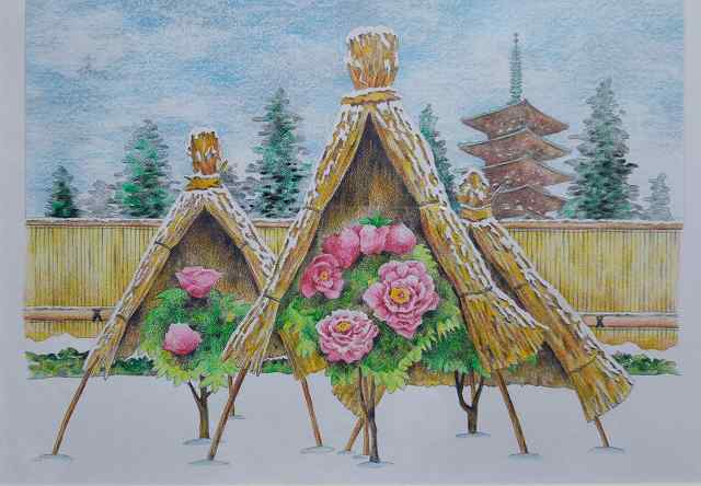 美しい塗り絵の世界