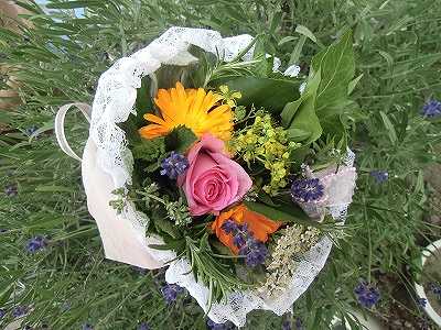 鹿志村恵美子のハーブ&アロマテラピー&スパイス タッジーマッジーとハーブリース