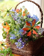 �y�̌�7/15�z�C���O���b�V���t�����[�A�����W�����g�`���ẴA�����W�����g�`