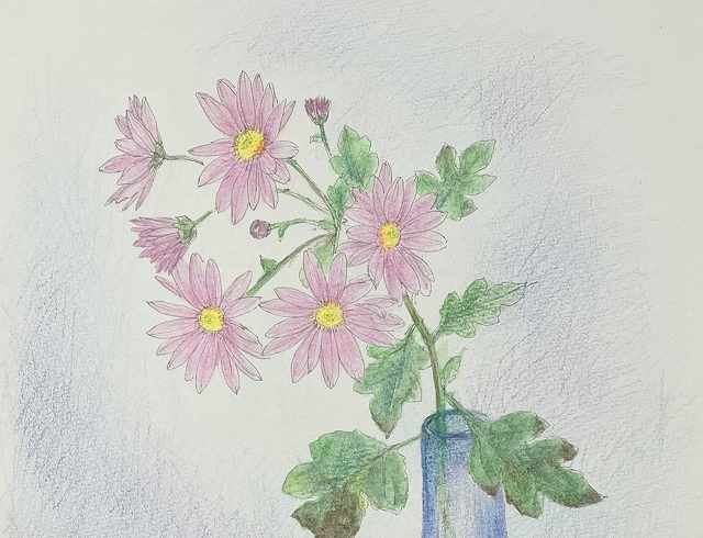 【体験10/1】水彩色鉛筆で描く四季の花々―秋の花を描く・小菊―