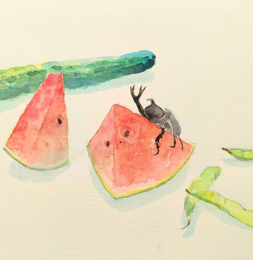 �q��� �[������͂��߂鐅�ʉ�