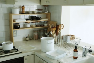 ��炵�̈��p�i�Ƃ���A�S�n�������X6/14