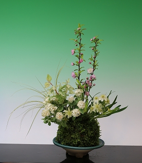 �ۋʂƊ񂹐A�����y����