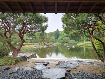 名古屋 庭園めぐり 呈茶付き