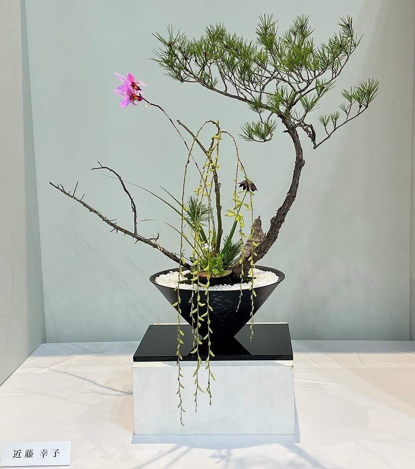 �����΂ȁE�r�V�i�Ηj�N���X�j