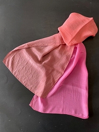 6/23�@�~�j�V���[������߂�@���M�ȐF�V���[�Y2�u�h�F(������)�v