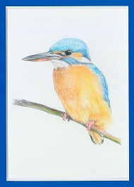 �y�̌��z�@4/15�@5�F�̐F���M�Łg�쒹�h��`�����`������u��